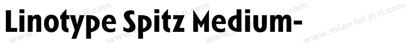 Linotype Spitz Medium字体转换